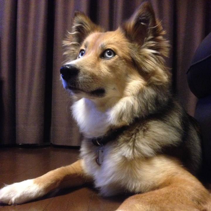 De4e04a8 03eb 4eed 83a4 935a4334ede9