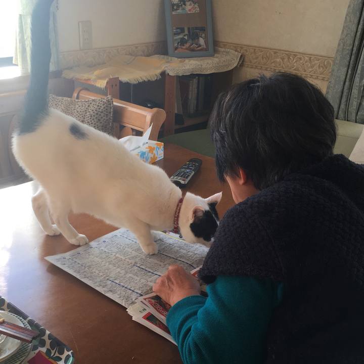 De4e328a c317 4561 8ee6 e9923fcb492f