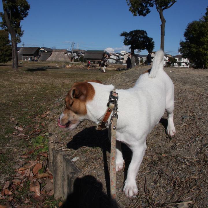 De4e9cda fed6 4ed3 a81a 59c05205f040