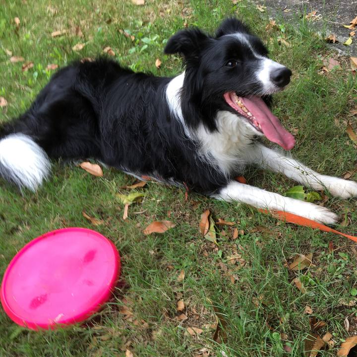 De4efa38 435d 4f32 be2d 190d4f18206c