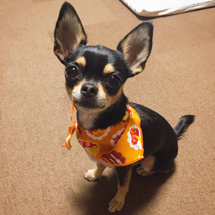 De4f754d c034 481f 99a0 b31303069c01