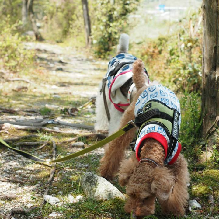 De4fc77a 689f 48e9 af1a 82686127dae5