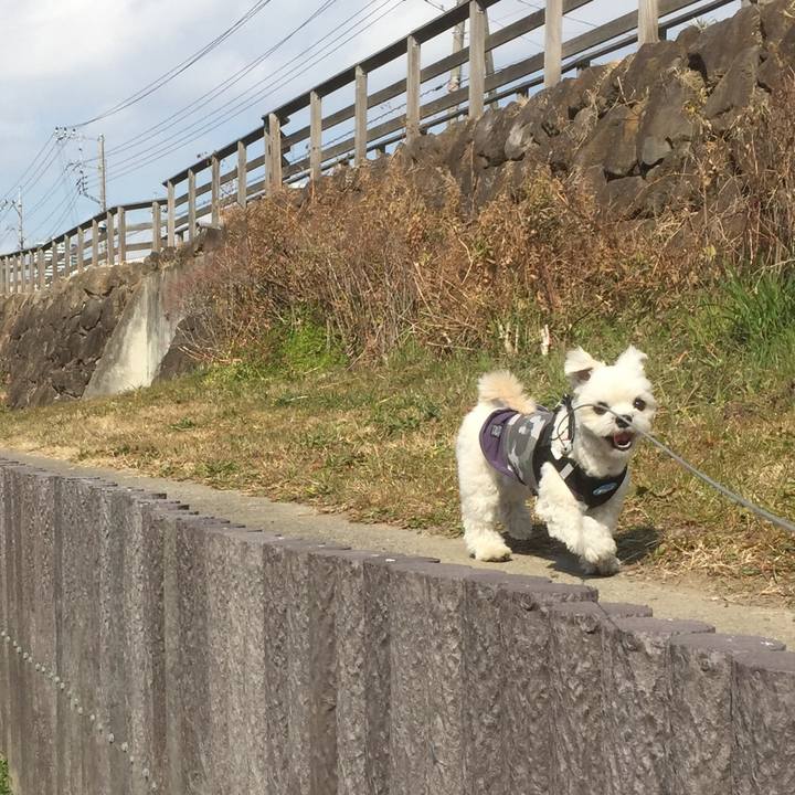 De50789c debe 4ea0 9c99 2d79bf47ca5c