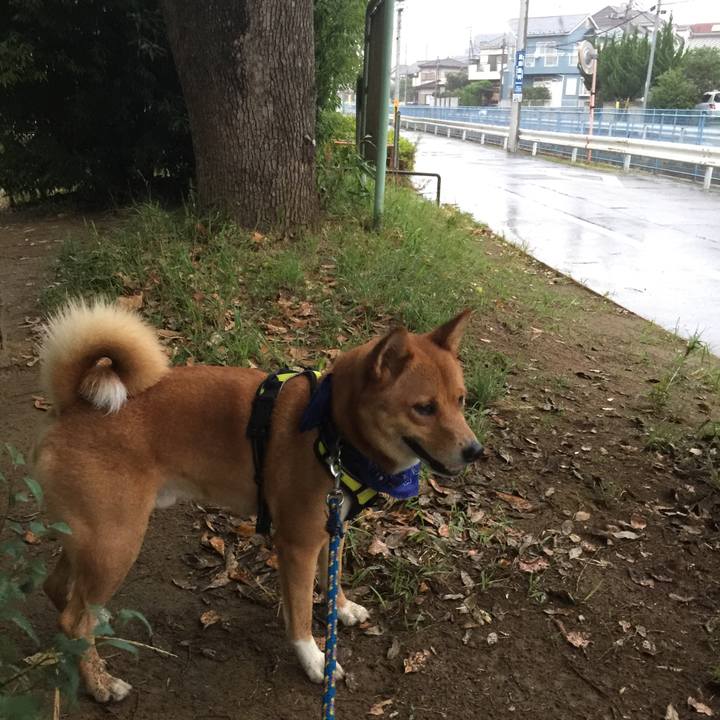 De515c90 fad7 4847 a73b b3434c8078e0