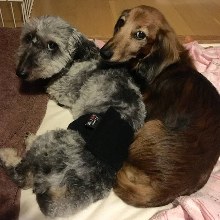 De51a6b5 10ee 45b6 8464 8e51c3ebd147