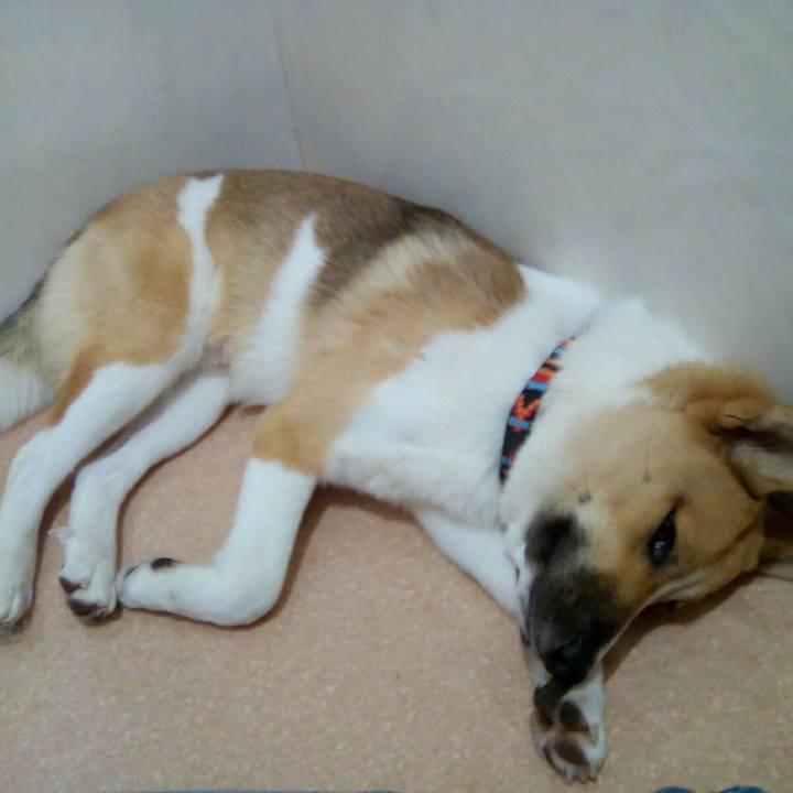 De51b966 df7d 4229 95e6 970032d10d8a