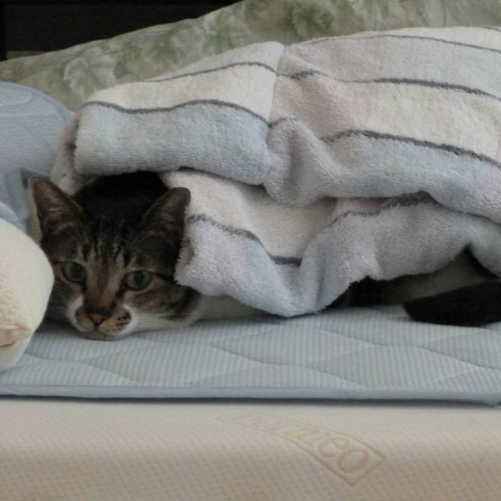 De51e7f5 38fb 4f10 8925 ad0ec11eef6b