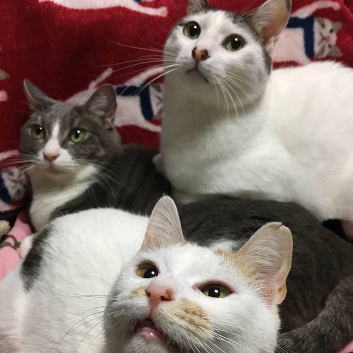 De522d17 a402 4d41 950a 98bfe8ef43b3