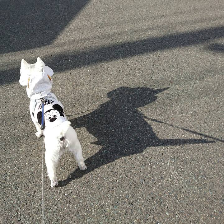 De52c52d 81fb 4fc7 82a9 8752d1382fb3