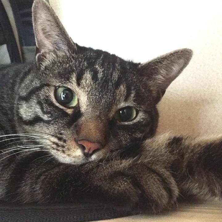 De532d2e 9496 4fc3 818a 3b49da44a6b8