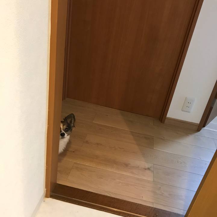 De535390 f168 4883 9d49 f999257dab1f