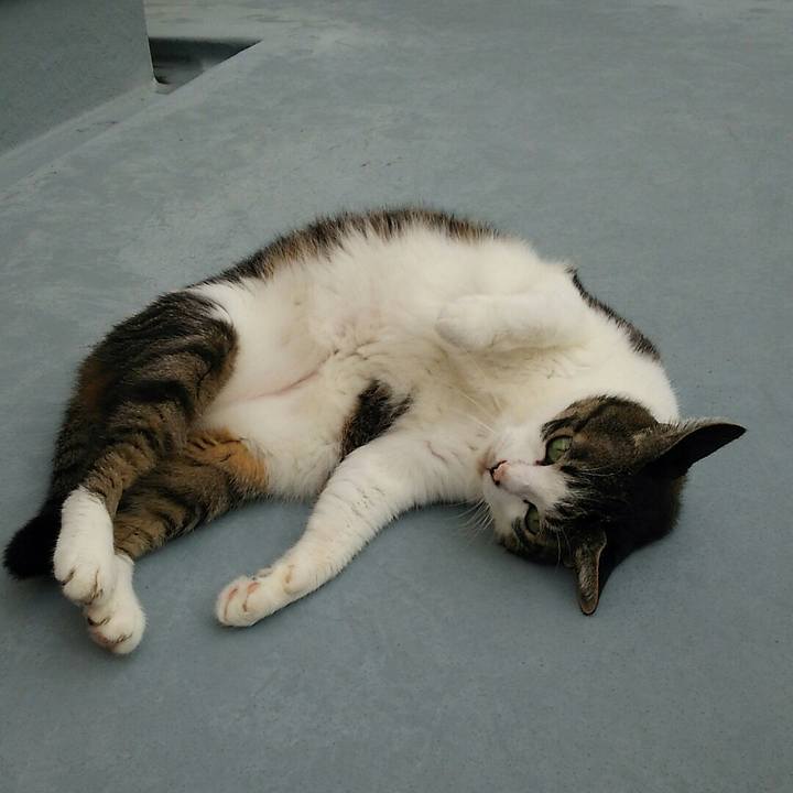 De5355a6 07a3 45ca be2c 4b5bf40a9a56