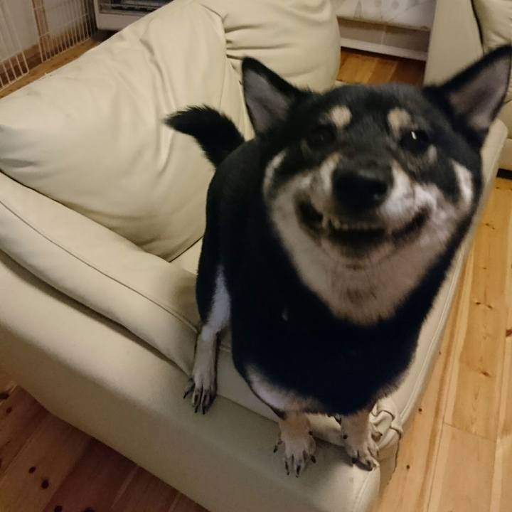 De53939b 706b 4540 82bc 401da6871c37