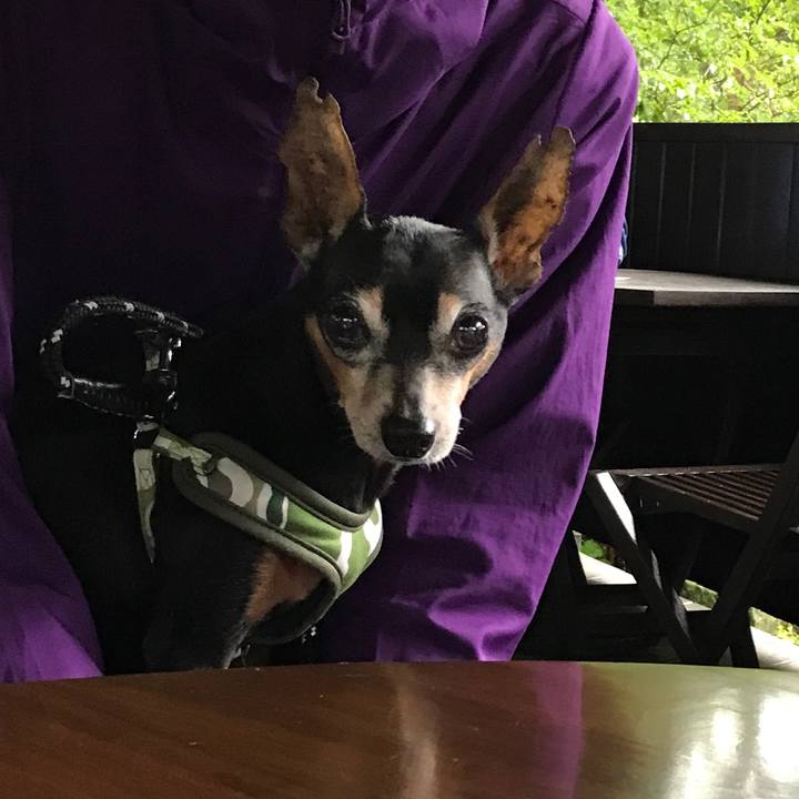 De5429d0 dfe3 4ad2 aeae 7c9cc4b99c26