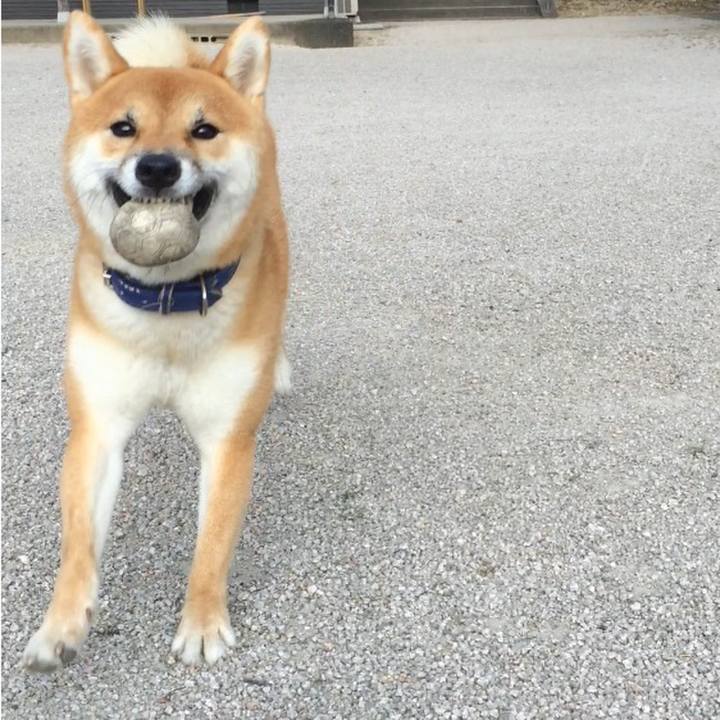 De550374 0956 4490 a2af b71e2d334817