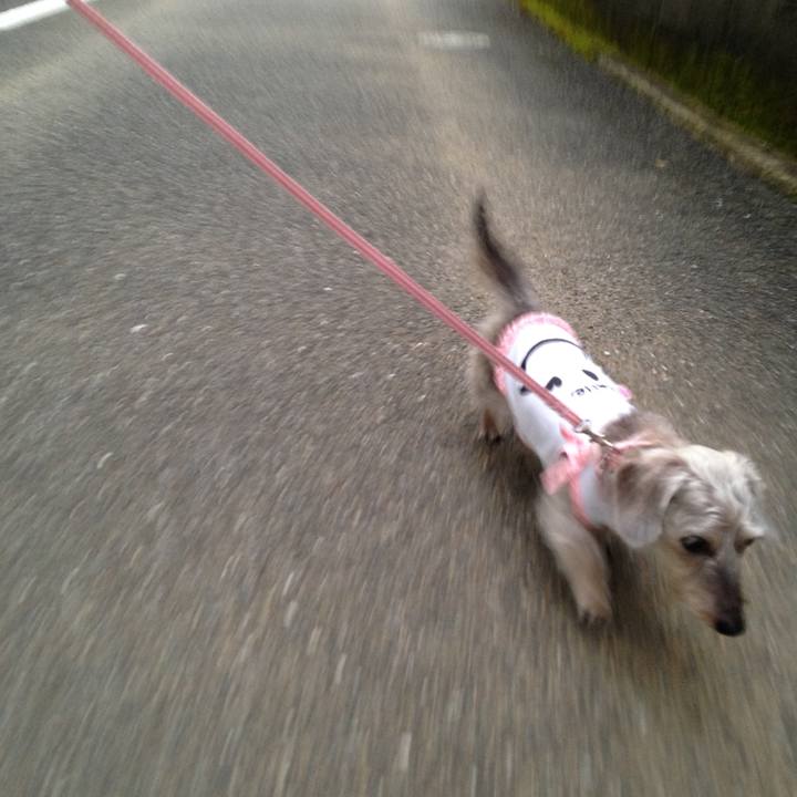 De55626e f3dc 4e50 aadf 11a9e4544d0c