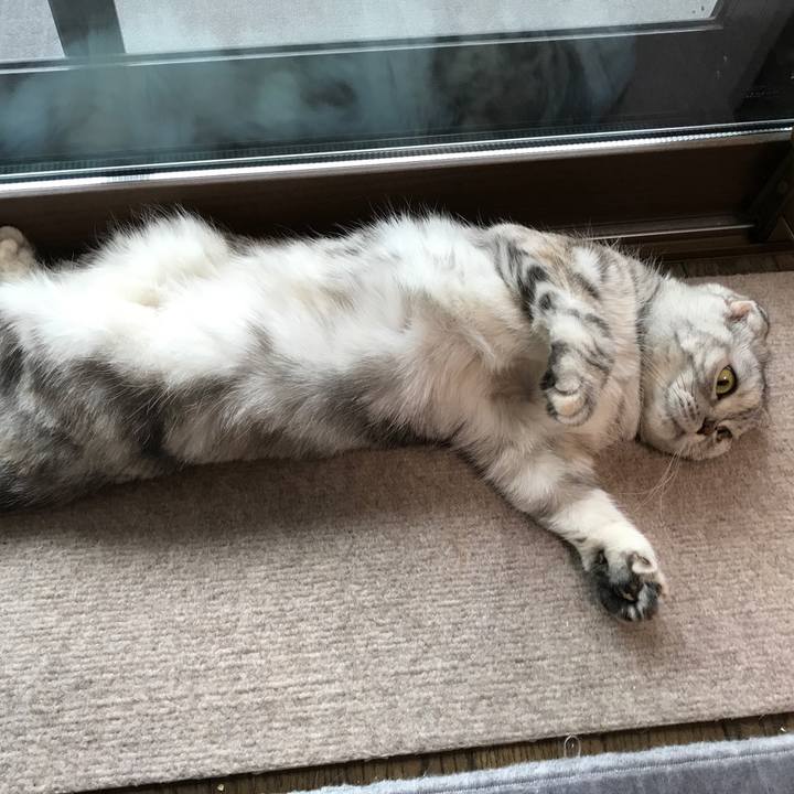 De5569ee 4e5f 45a6 a941 edd9706dfe3c