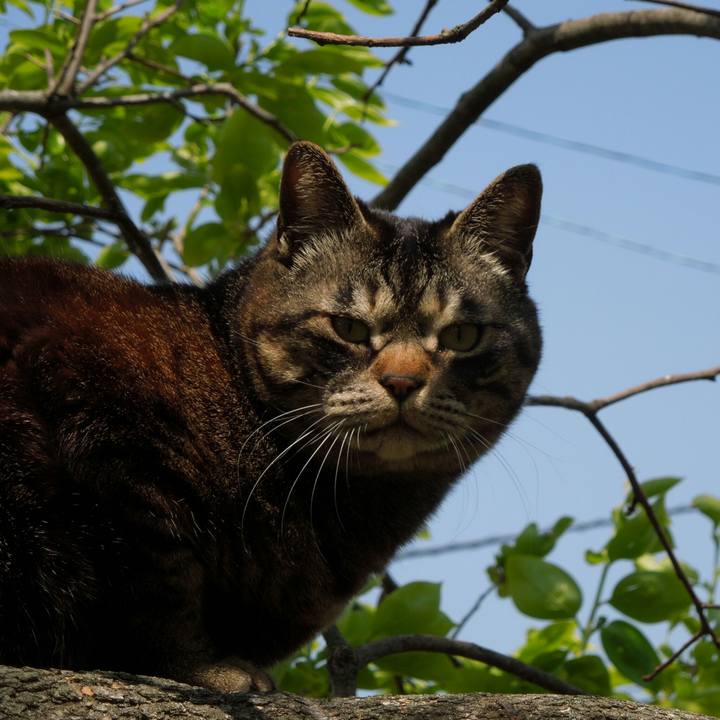 De55bcb2 d37f 467a 9f3a fb70f2412b85