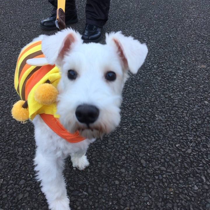 De565bd3 2ba1 411c b7b3 8c7549503f01