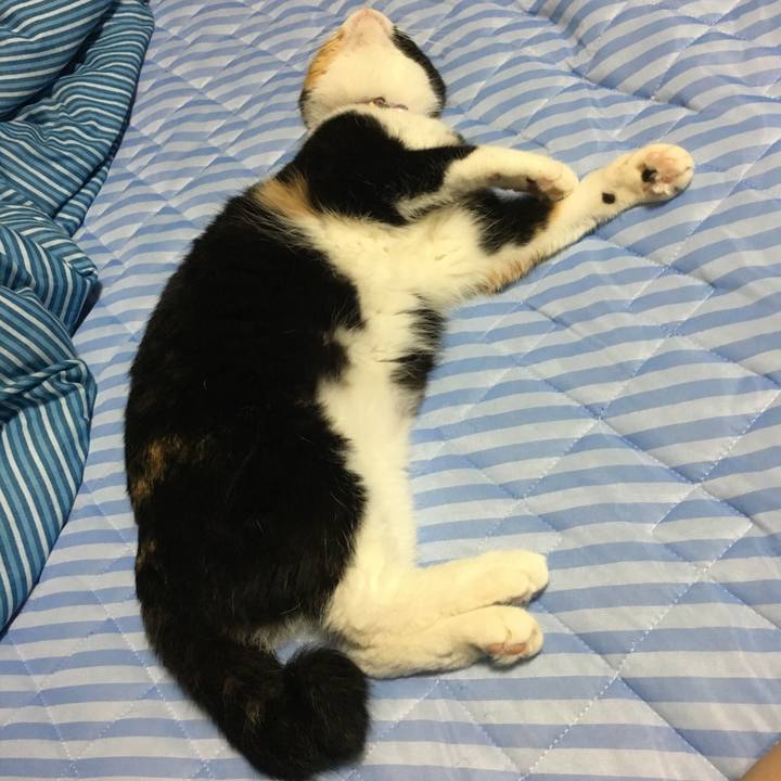 De567cf0 85da 47d0 8737 a5f523fbff24