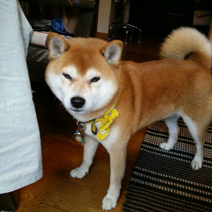 De5699b5 20ce 4db3 9133 b14463cc771c