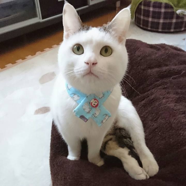 De57ace0 7ed2 4a25 92a3 77960e2c1904