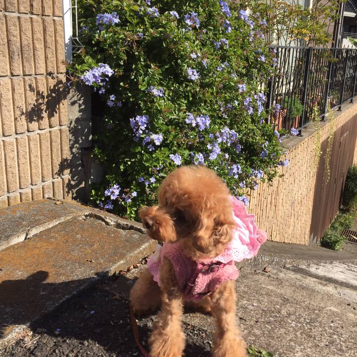 De57d94e f405 4e1a 9569 50c94f088a83