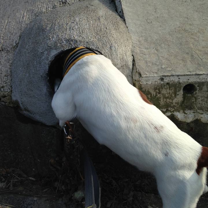 De580355 8cd2 4376 b7a1 6609537145bc