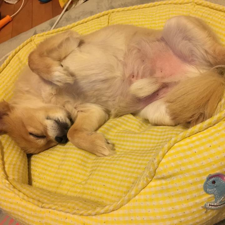 De5875c1 8bfb 4122 bd6a 5a14bcca0e03