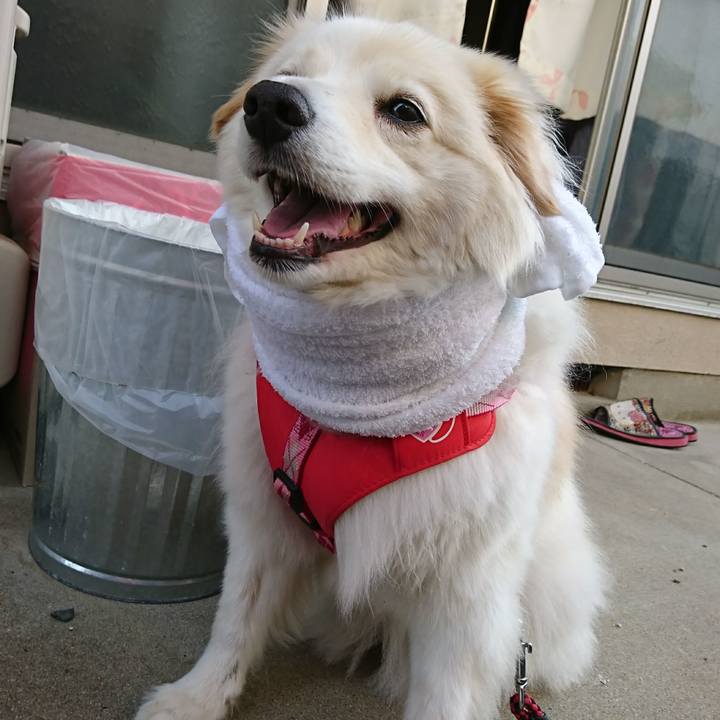 De587fd6 4fbd 4c59 86b7 c486f64ddc07