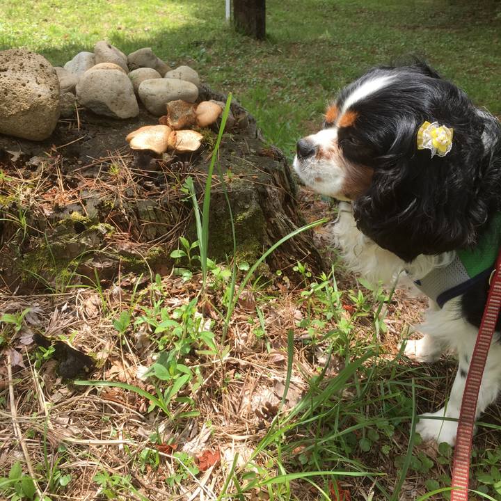 De58a433 2e9b 4016 b098 d83376597fce