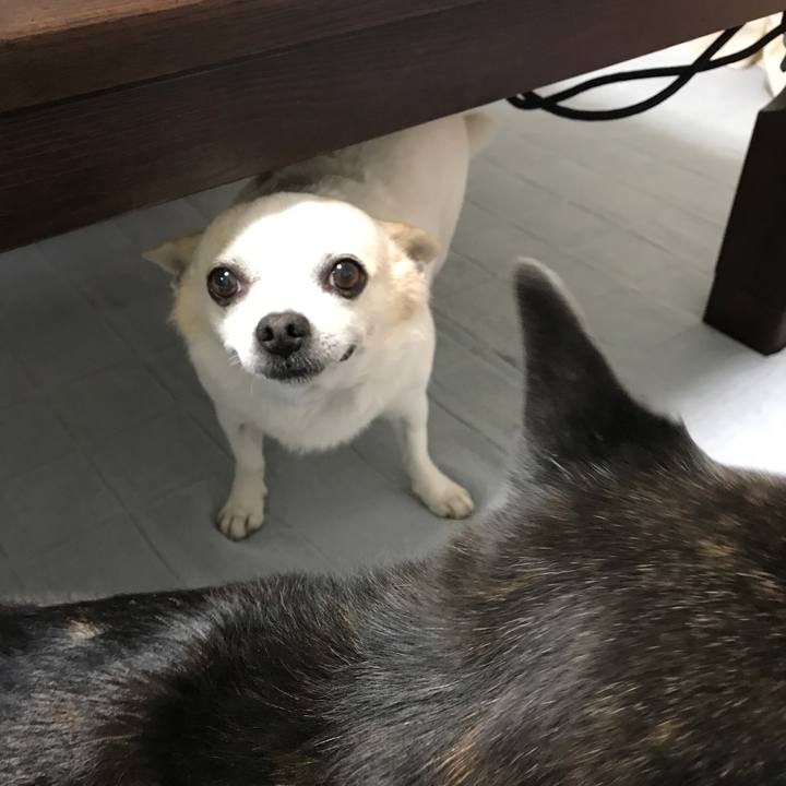 De58c5e2 f176 4244 82d9 eab1e498ba73