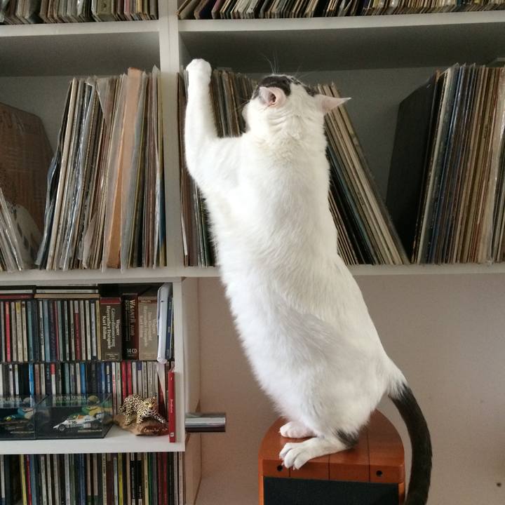 De59d14e 9bcf 4630 b387 a737811a6295