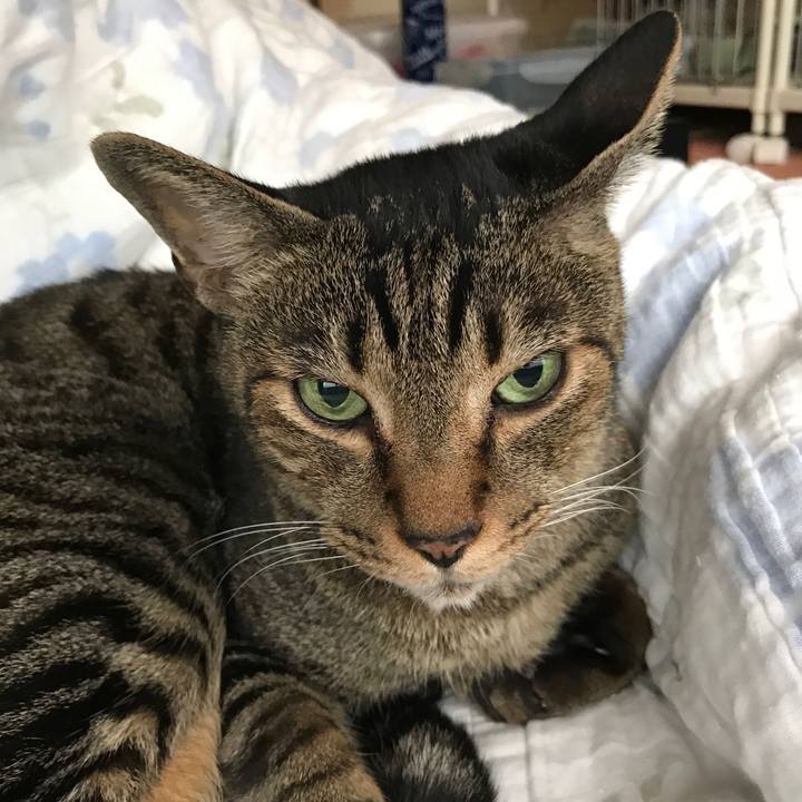 De5a408e fd7a 4a08 b565 5d4fd75d3b92