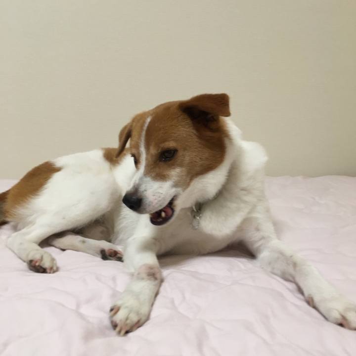 De5ac07c 6ba2 42cf a611 bc817c7c0c0a