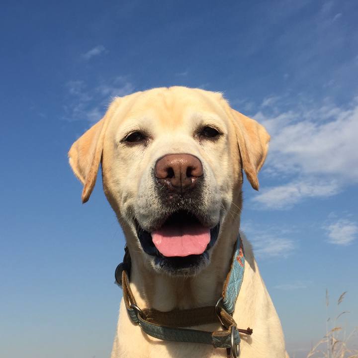 De5ad387 2d95 49a4 ac39 a5f1e060f916