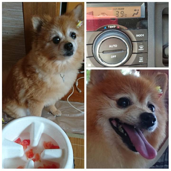 De5b00ca 5da2 4971 b396 703db4e68867