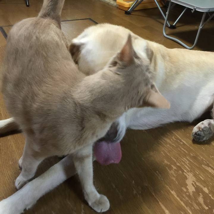 De5b635e 4b1f 401a 8237 7b05c0c3ef9e