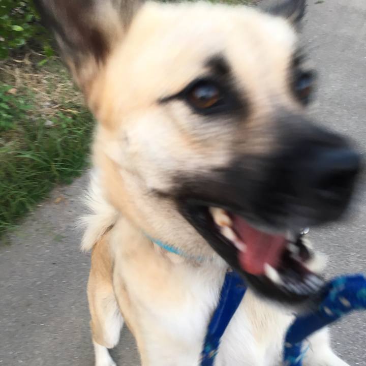 De5b7345 19a8 4a01 92b5 111038eb232a