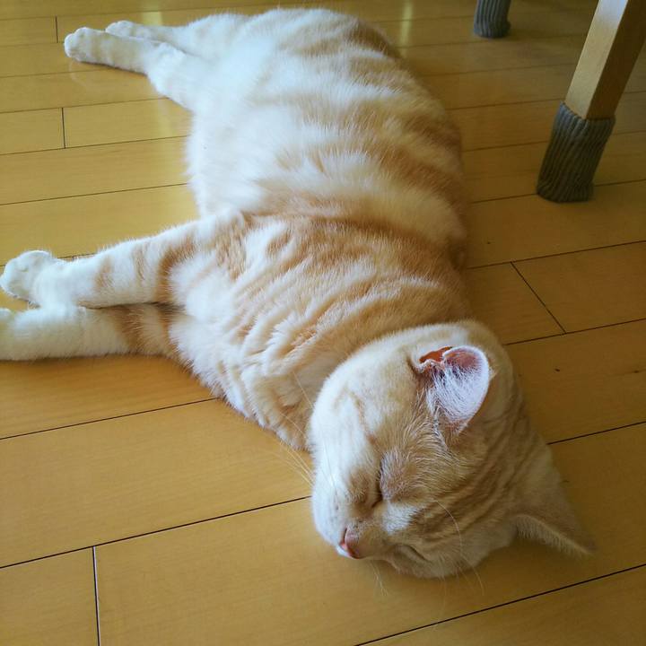 De5bc6ac 3f1c 4e8c 880d 72d81223cccd