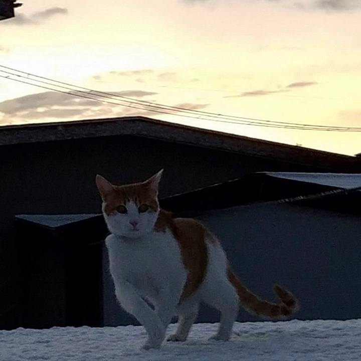 De5bc9b4 cd73 41c0 8201 b3131cd4e967