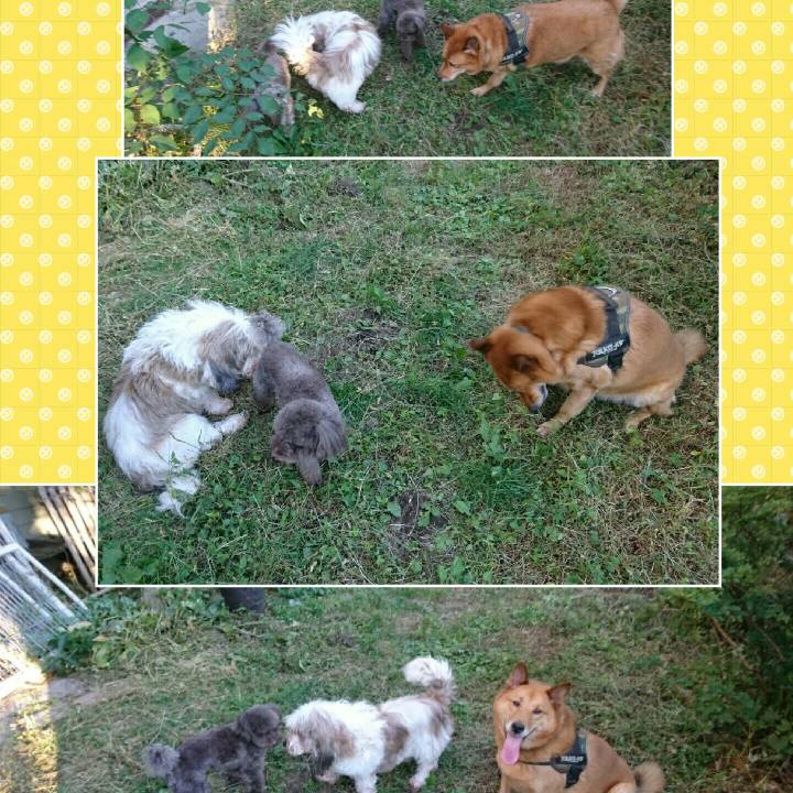 De5cf84d 1551 41ba a798 b9c86121bf60