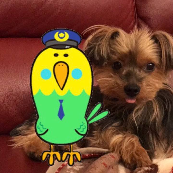 De5d2aa0 612d 4c92 a4d8 4d4cdcaa8c1d