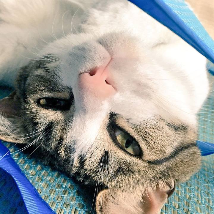 De5e7a11 96c0 416e 8141 f18cdc747138