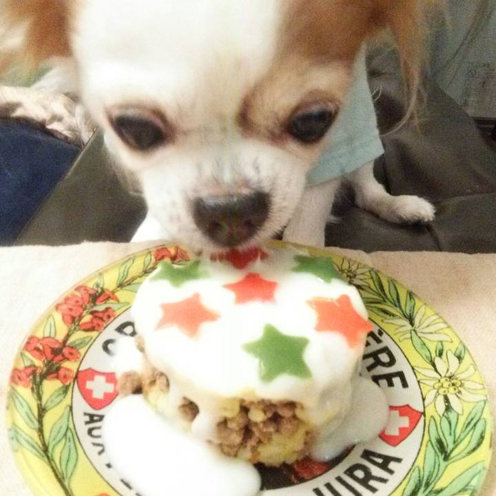 De5f0a5c 1421 48b5 bffc 3a5d2963fe4e