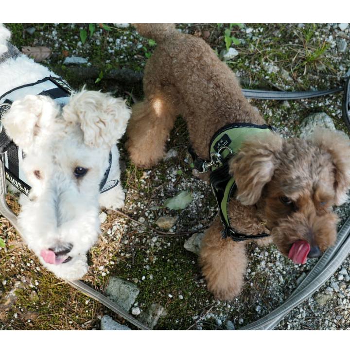 De5f4da1 d682 43a2 a301 2e823cd91ff7