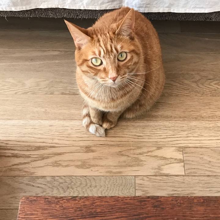 De5f58d4 32e2 49c1 8a9d 7bba710c260e