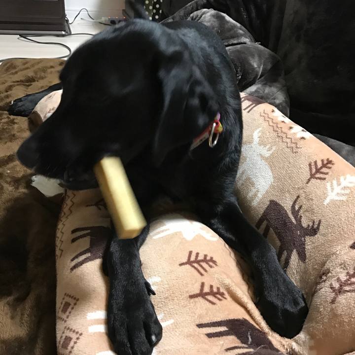 De5f7c8d 8dc3 42ec 8a26 86725db9e1a6