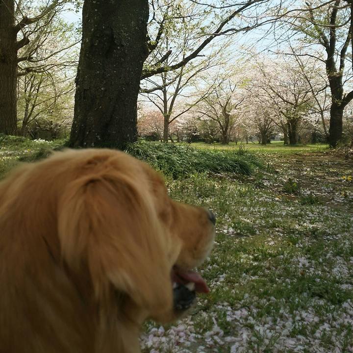 De5f8831 5535 49a3 a6e0 b16711fcc40a