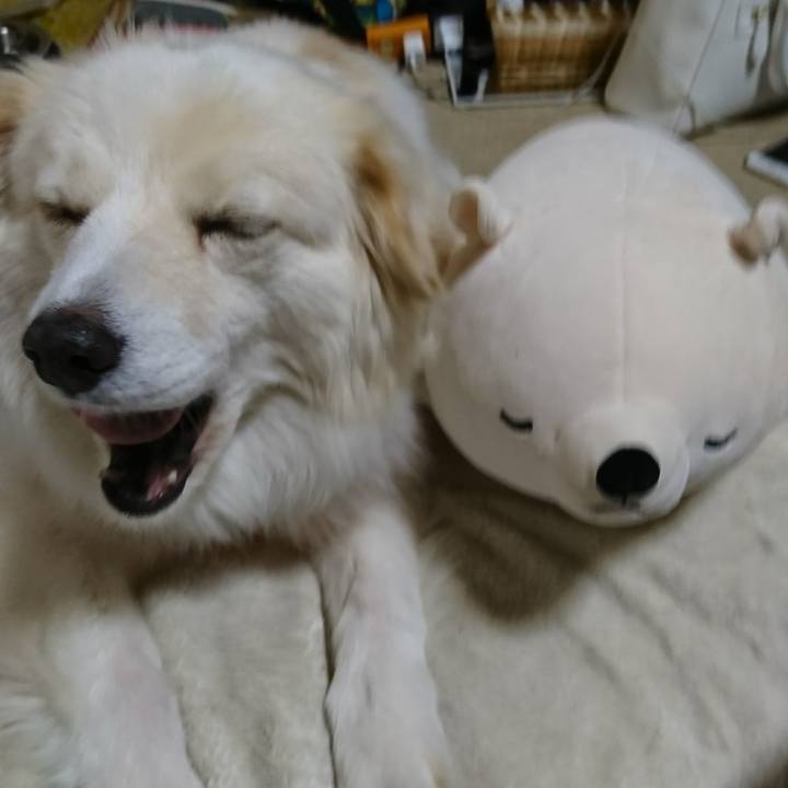 De60045e 7941 41e8 8220 b8d643b77f92